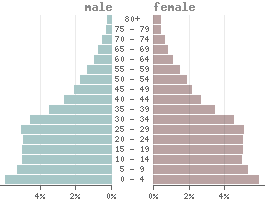 Population pyramid Botswana 2021