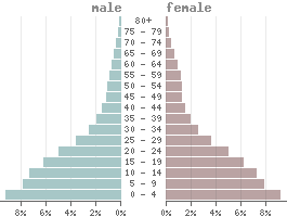 Population pyramid Central African Republic 2022
