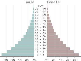 Population pyramid Chad 2021