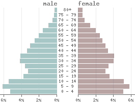 Population pyramid Mongolia 2021
