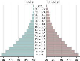 Population pyramid Mozambique 2021