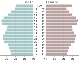 Population pyramid Netherlands 2021