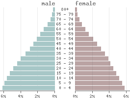 Population pyramid Papua New Guinea 2021