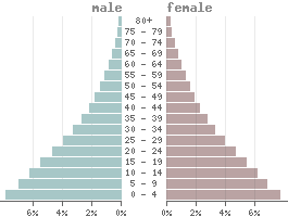 Age pyramid Low-income countries
