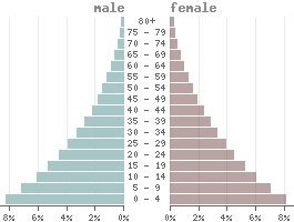 Population pyramid Benin 2021