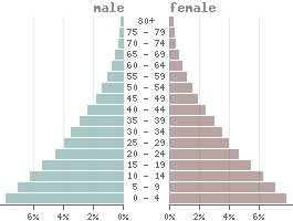 Population pyramid Cameroon 2023