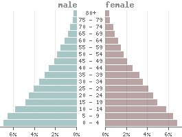 Population pyramid Comoros 2021