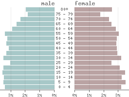 Population pyramid Faroe Islands 2022