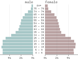 Population pyramid Federated States of Micronesia 2021