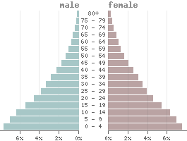 Population pyramid Senegal 2021
