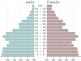 Population pyramid South Africa 2021