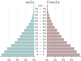 Population pyramid Zambia 2021