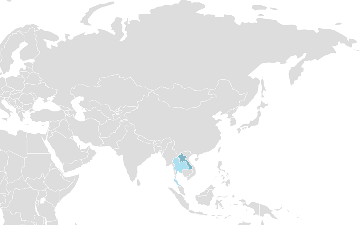 Distribution Lao