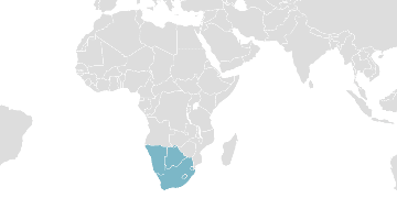Map of member countries: SACU - Southern African Customs Union