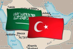 Country Comparison: Saudi Arabia / Turkey