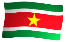 Suriname: Overview