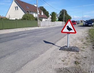 Traffic in Estonia