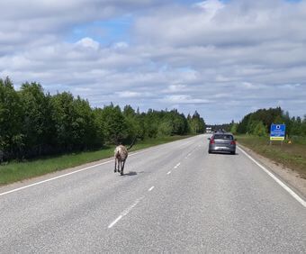 Traffic in Finland