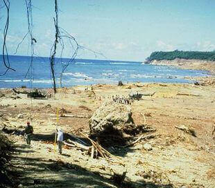 Tsunami in Flores Maumere 1992, Indonesia